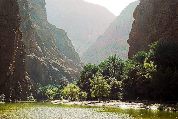 Wadi Tiwi - Oman © Philippe Perraud/stock.adobe.com