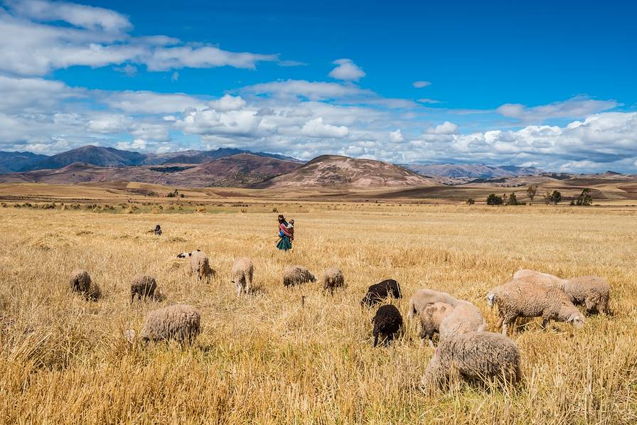 Région de Cuzco - Pérou © Franck Camhi / snaptitude / Fotolia