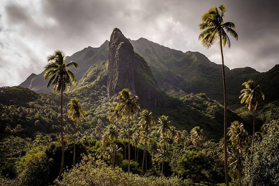 Raiatea - Polynésie © celine - stock.adobe.com