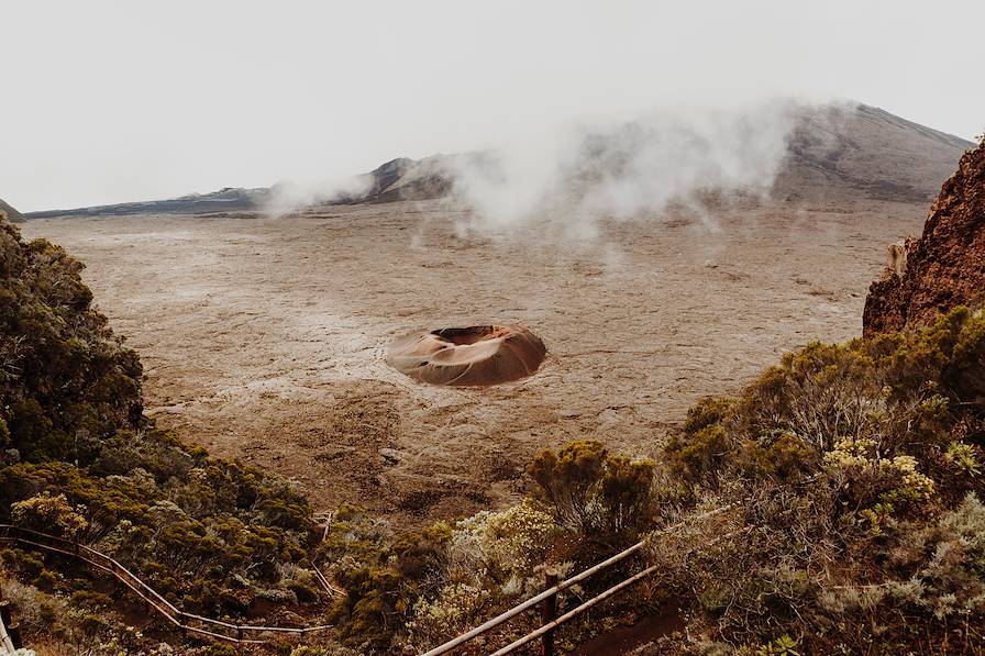 Formica Leo - Piton de la Fournaise - Réunion © Ludovic Jacome