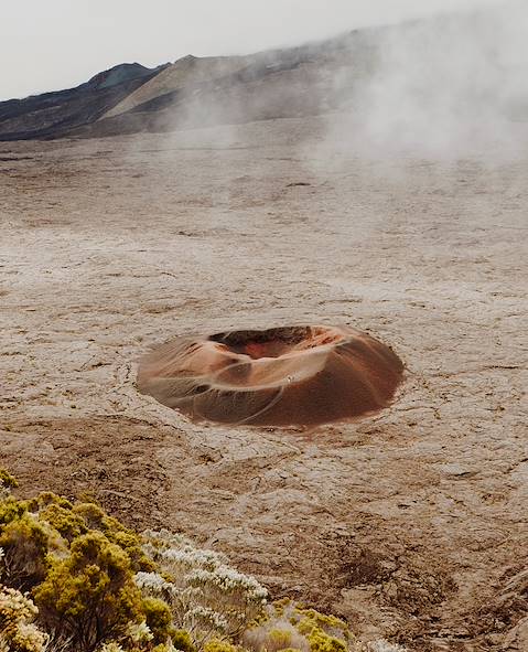 Formica Leo - Piton de la Fournaise - La Réunion © Ludovic Jacome