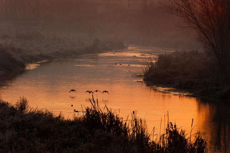 Delta du Danube - Roumanie © thyrfingviking/Fotolia