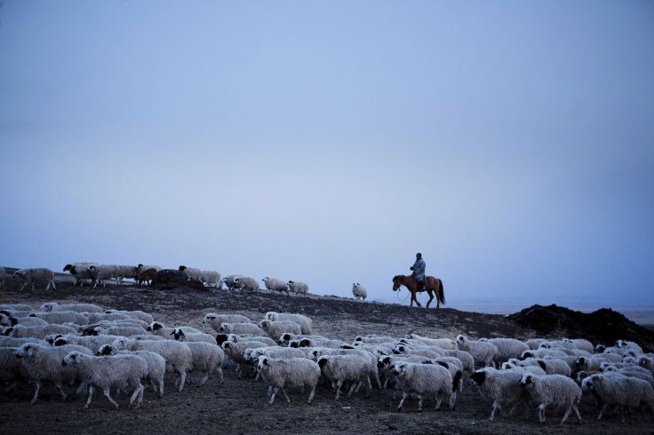 Khentii - Mongolie © 2012 by ZUMA Wire/ZUMA/REA