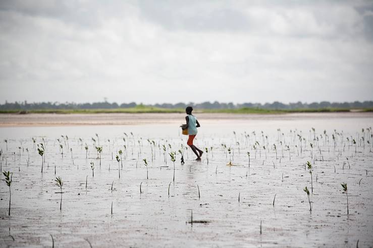 Sine Saloum - Sénégal © Marion Osmont