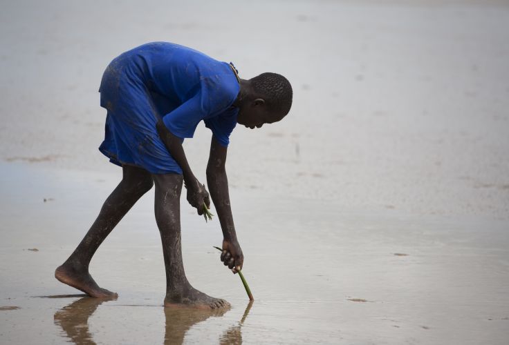 Sine Saloum - Sénégal © Marion Osmont