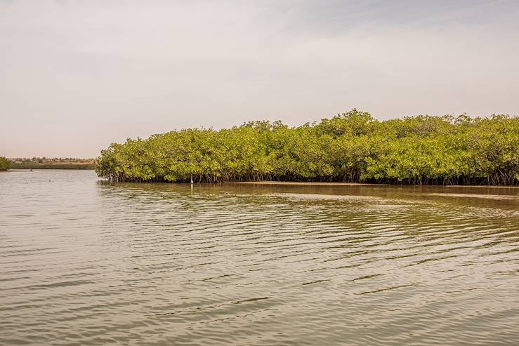 Lagune - Somone - Sénégal © Florian Scholl / Adobe Stock