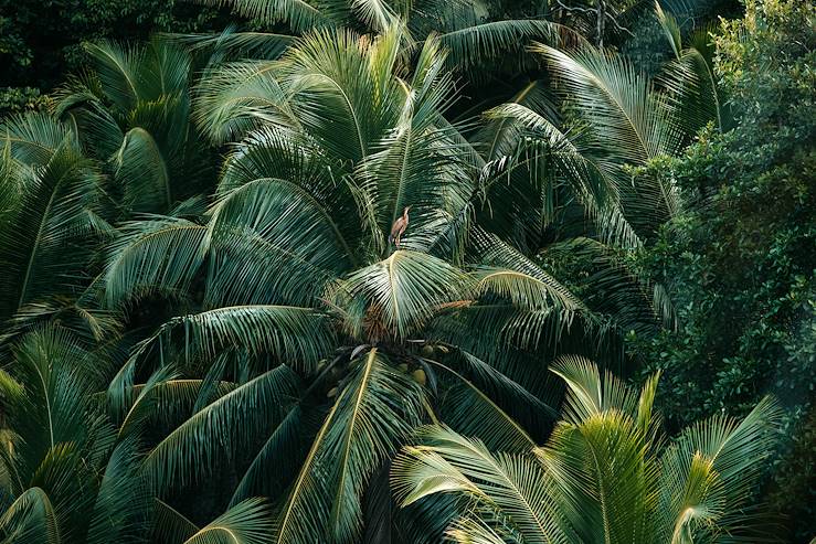 Seychelles © Vanessa Martin