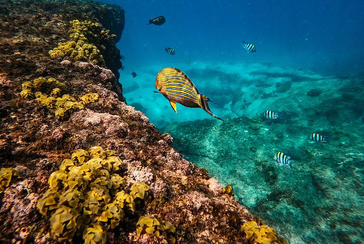 Seychelles © Vanessa Martin