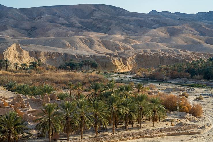 Tamerza - Tozeur - Tunisie © skazar - stock.adobe.com