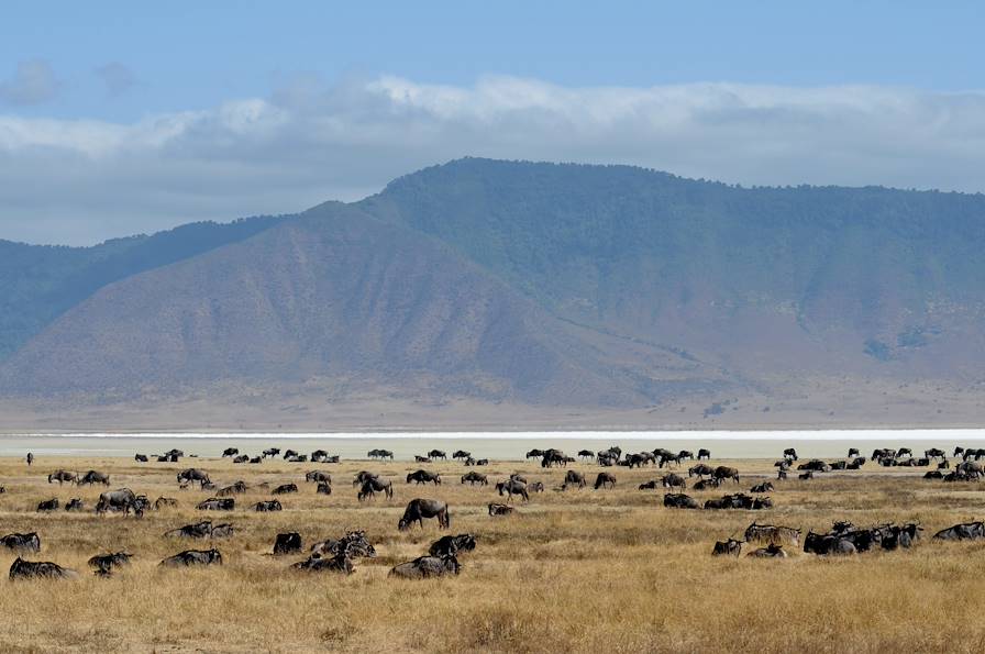 Ngorongoro - Tanzanie © Marco Sgarbi / Fotolia.com