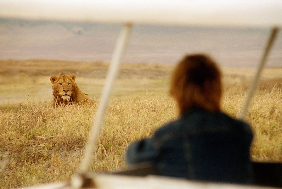 Parc national du Serengeti - Tanzanie © Michael Hughes/LAIF-REA