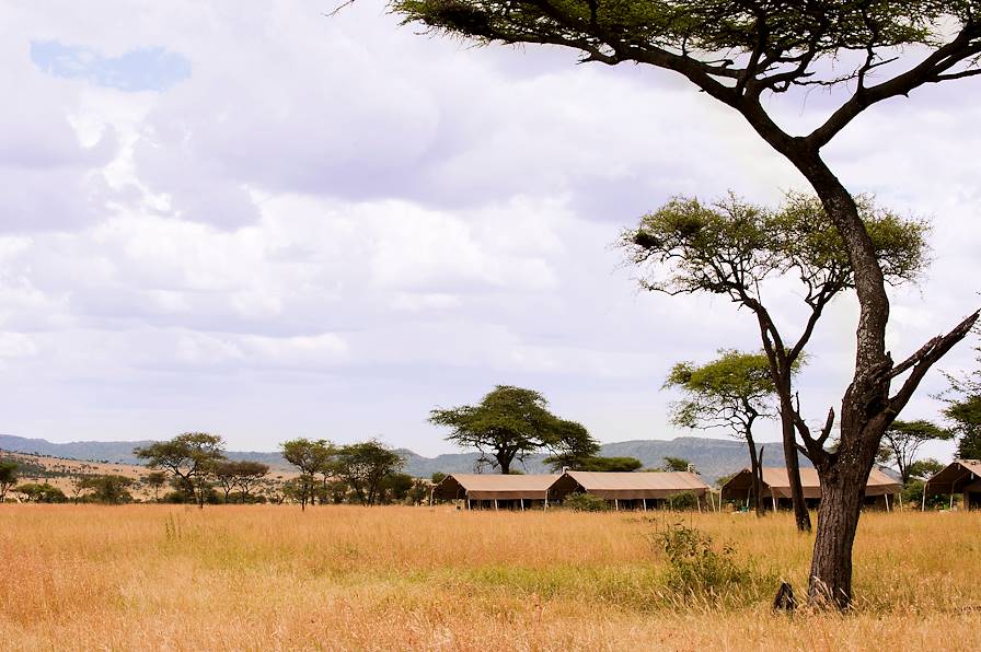 Serengeti - Centre/Seronera - Tanzanie © Droits reservés