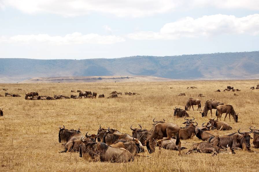 Parc national du Ngorongoro - Région d'Arusha - Tanzanie © Aminata Konte