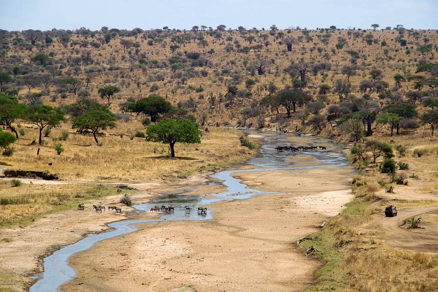 Parc national de Tarangire - Tanzanie © Marie-Astrid Peltier