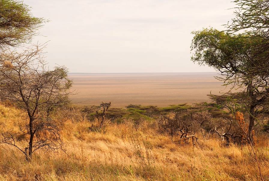 Parc national du Serengeti - Tanzanie © Marie-Astrid Peltier