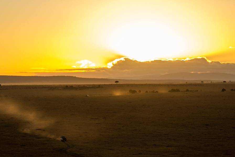 Parc national du Serengeti - Tanzanie © Asoda Photography/iStock /Getty Images Plus