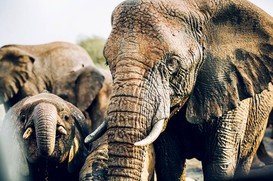 Tanzanie © Olivier Romano