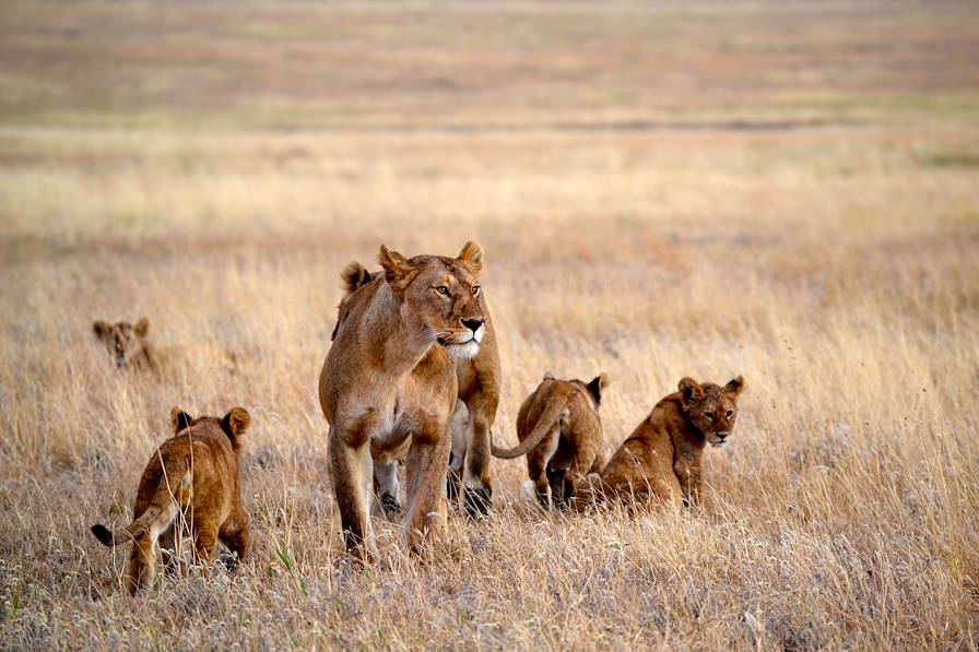 Tanzanie © Droits réservés