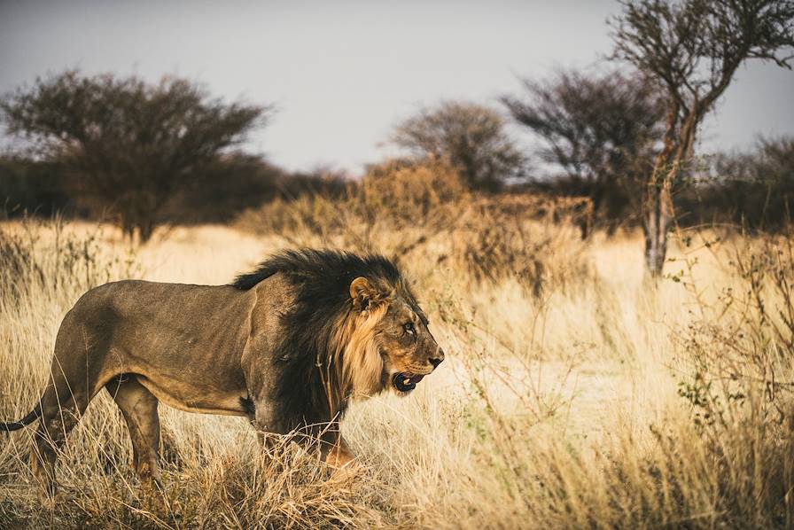 Tanzanie © Un cercle