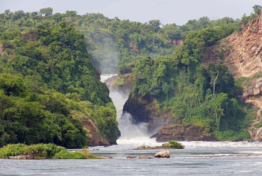 Parc national Murchison Falls - Ouganda © Danieloncarevic/Getty Images/iStockphoto