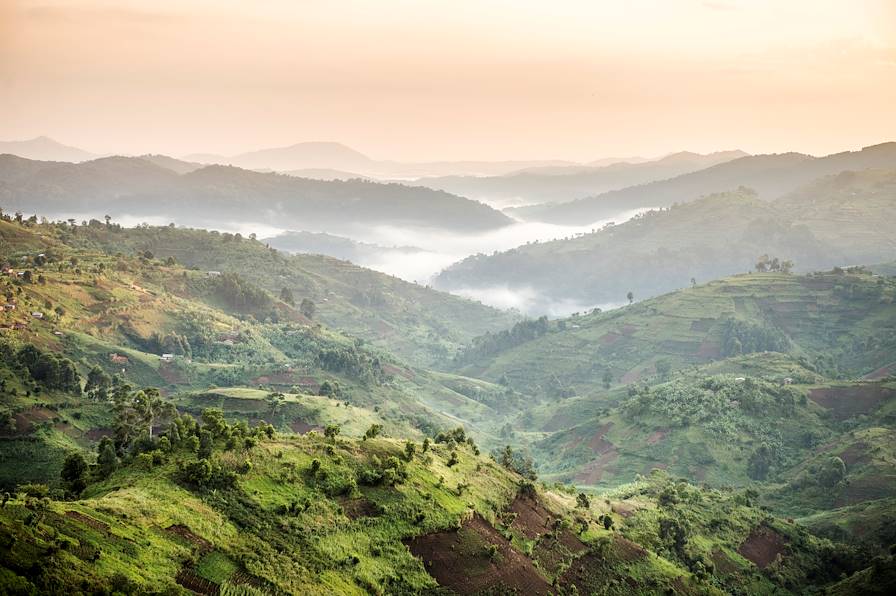 Ouganda © Andreas Hub/LAIF-REA