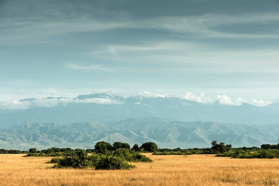 Parc national Queen Elizabeth - Ouganda © Andreas Hub/LAIF-REA