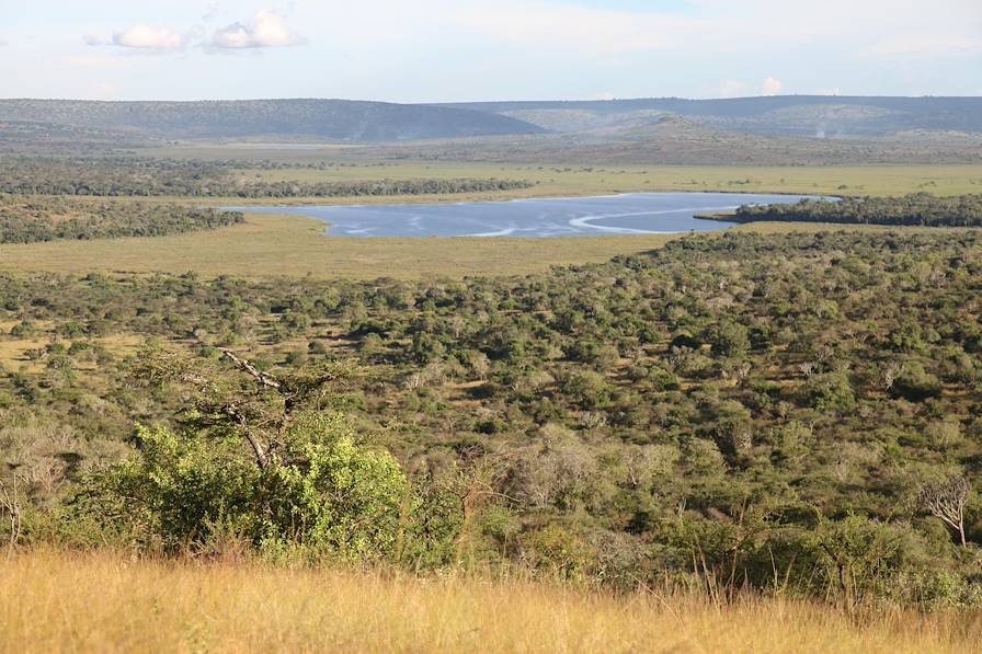 Lac Mburo - Ouganda © Droits reservés