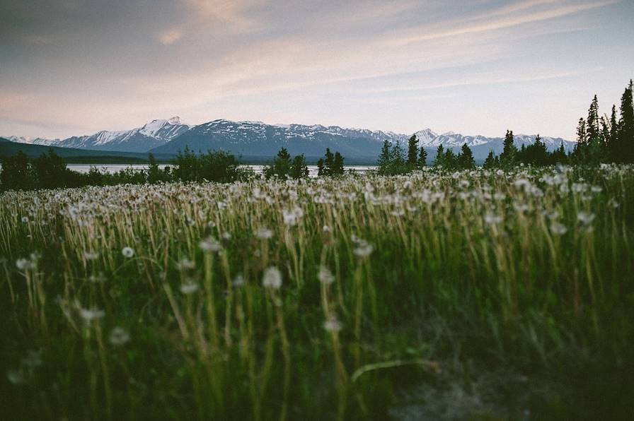 Montagnes Wrangell - Alaska - Etats-Unis © Micah Albert/Vault Archives-REA