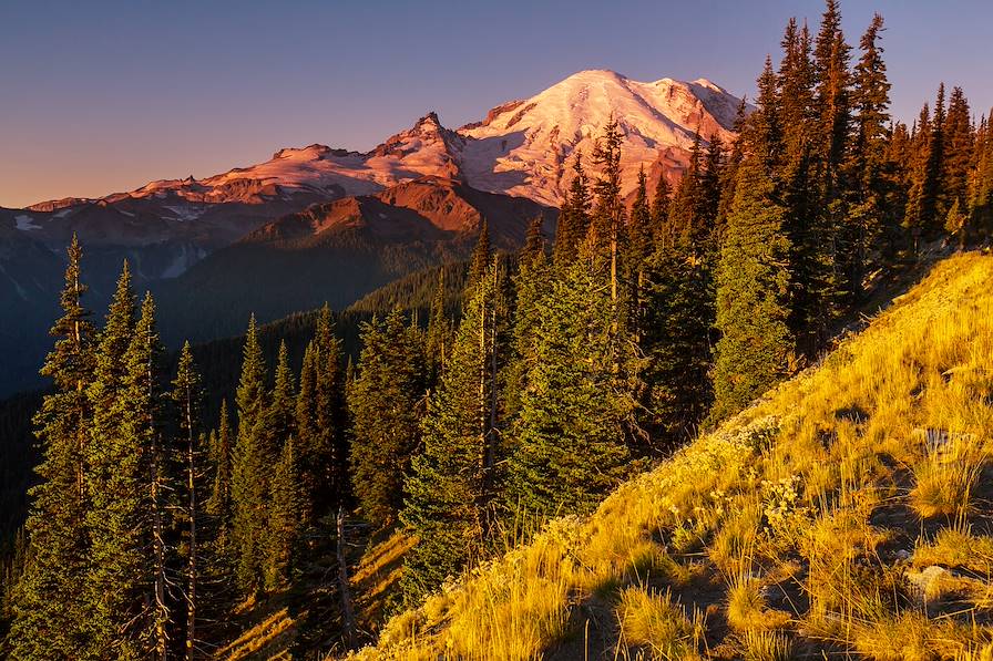 Parc national du mont Rainier - Washington - Etats-Unis © Galyna Andrushko/Fotolia