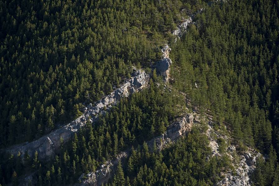 Bighorn National Forest - Wyoming - Etats-Unis © Kyle/stock.adobe.com