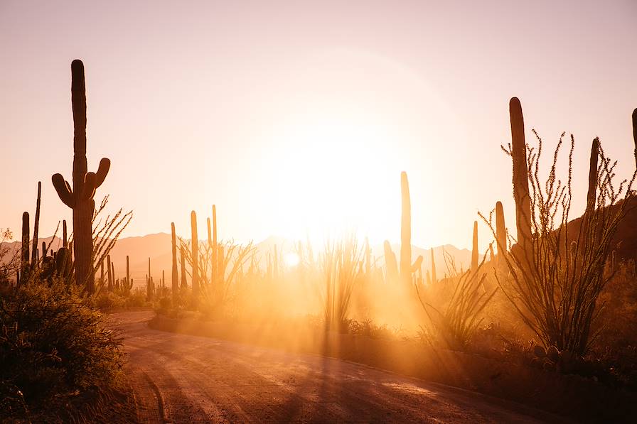 Californie - Etats-Unis © L'oeil d'Eos