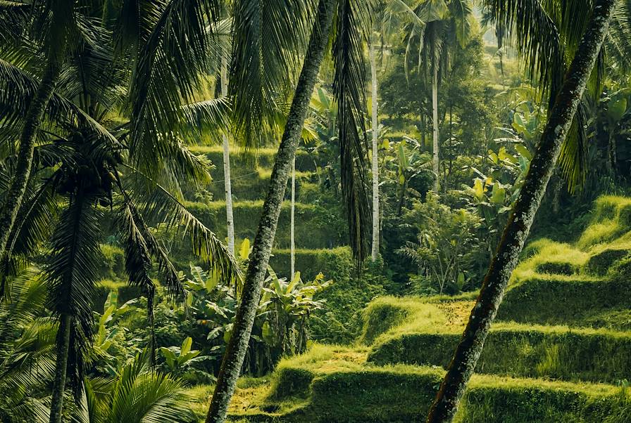 Ubud - Bali - Indonésie © Jérôme Galland