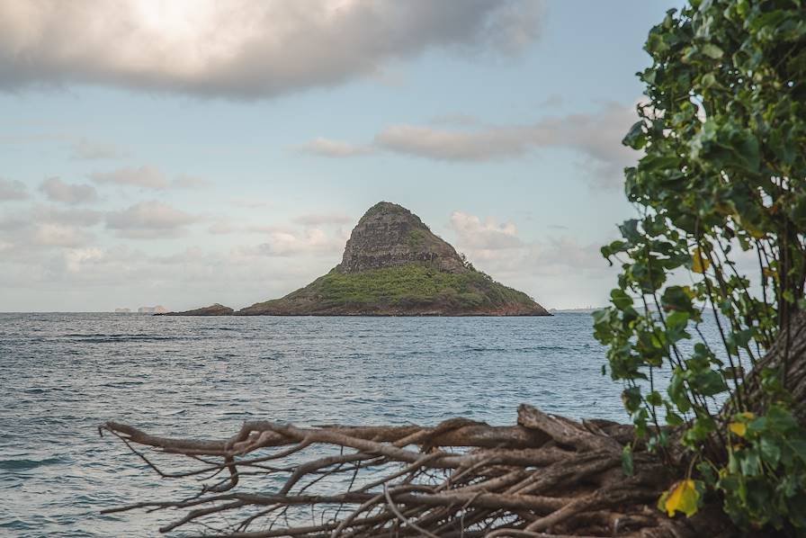 Oahu - Hawaii - Etats-Unis © Wirestock  - stock.adobe.com