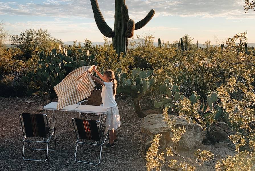 Parc de Saguaro - Etats-Unis © Birgit Sfat