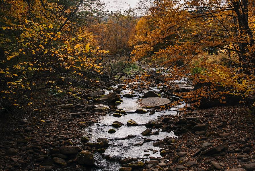 Catskills - New York - Etats-Unis © Jack W Cox - stock.adobe.com