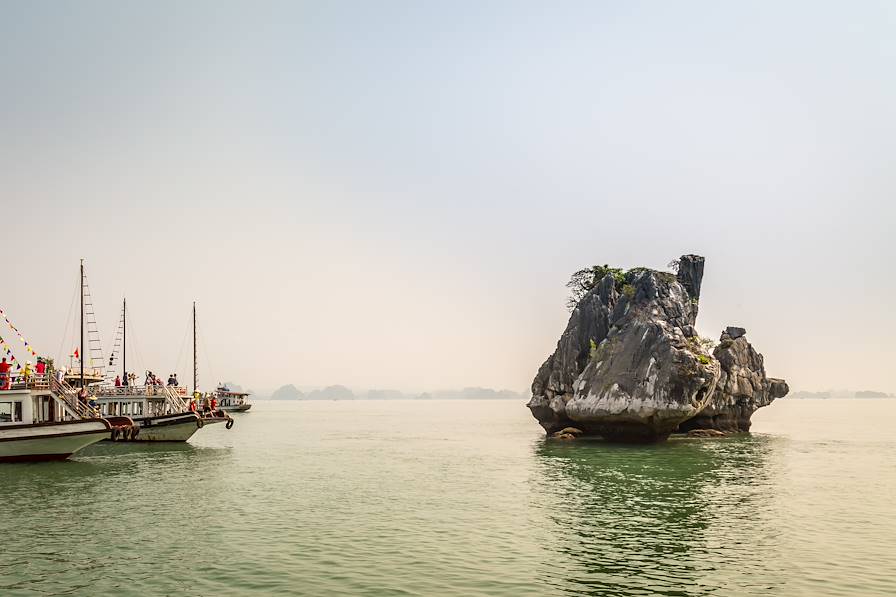 Vietnam © Paulo Miguel Fernandes Costa/stock.adobe.com