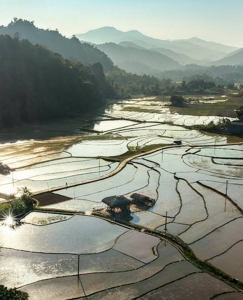 Viêt Nam © Linh Tran/Pexels