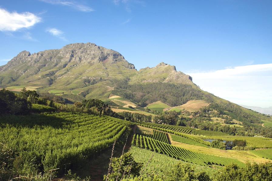 Stellenbosch - Cap Occidental - Afrique du Sud © Michel Uyttebroeck/Fotolia