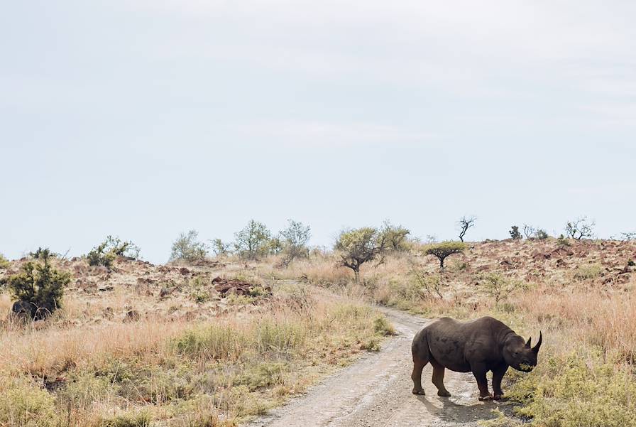 Afrique du Sud © Olivier Romano