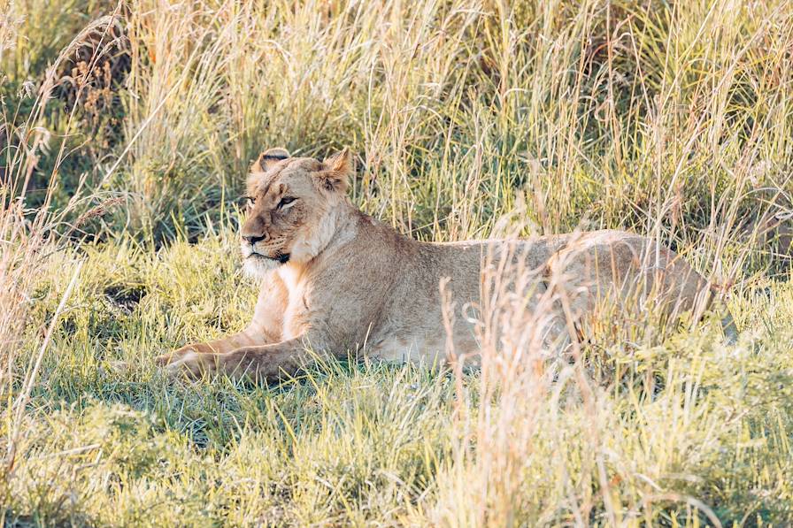 Afrique du Sud © Olivier Romano