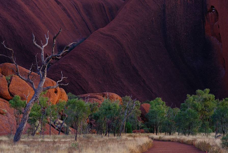 Uluru - Australie © Cécile Rosenstrauch