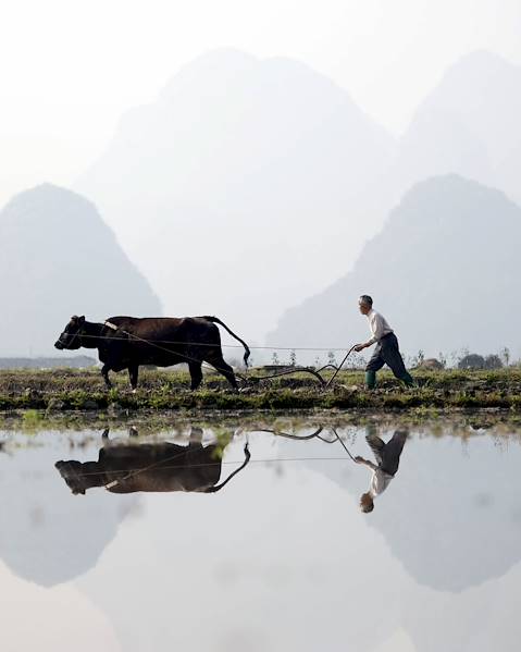 Voyages itinérants Chine - Pékin - Xi'an - Yangshuo - Shanghai