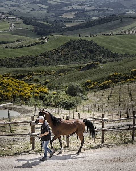 Voyages itinérants Italie - Toscane - Val d'Orcia