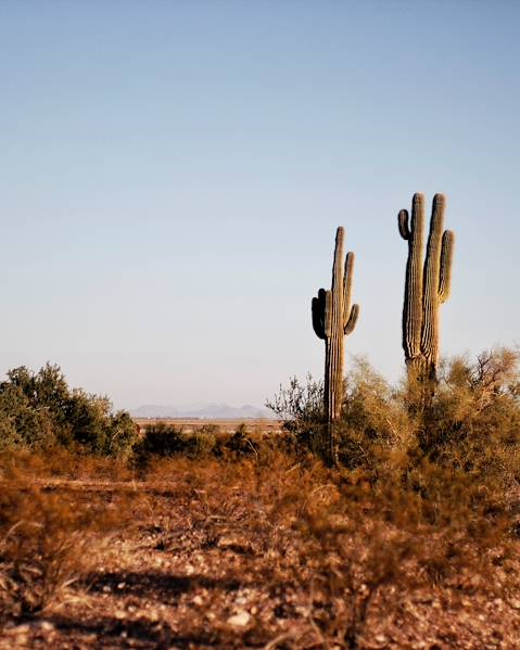 Voyages itinérants Etats-Unis - Texas - Nouveau-Mexique