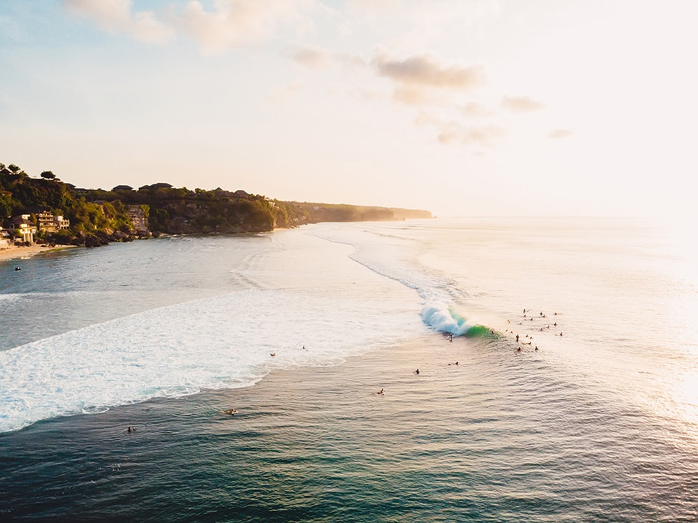 Plage Sydney surf