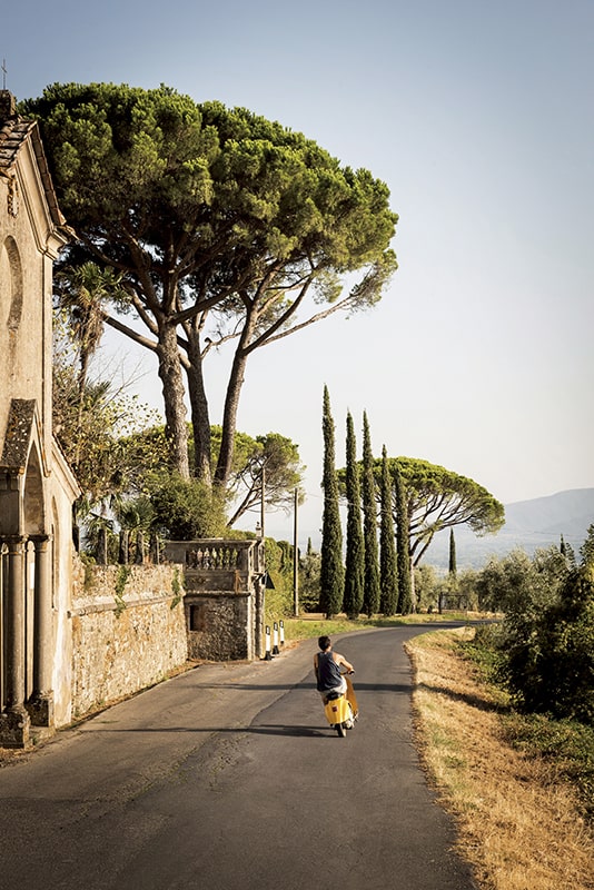 Route vignoble en Italie