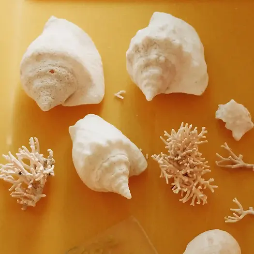 Une entreprise engagée